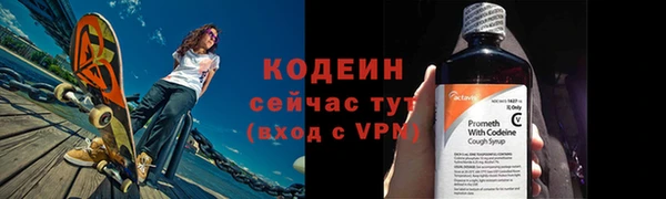 мдпв Рославль
