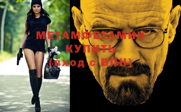 прущие грибы Волоколамск