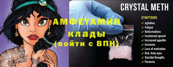 прущие грибы Россошь