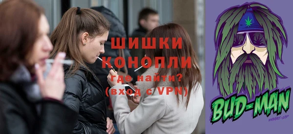 прущие грибы Россошь
