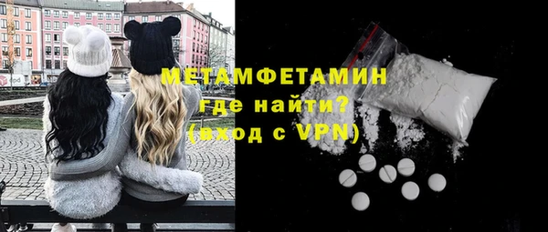 прущие грибы Волоколамск
