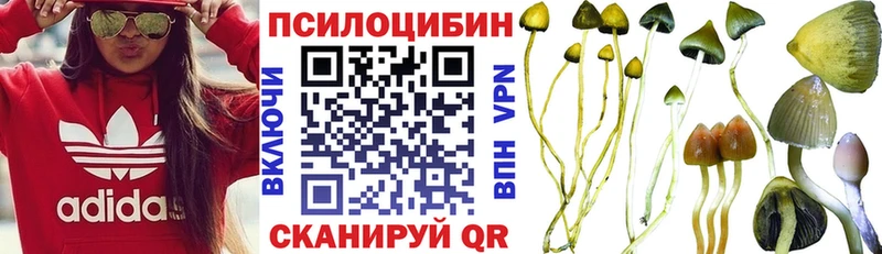 цена Оха гидра рабочий сайт Псилоцибиновые грибы MAGIC MUSHROOMS